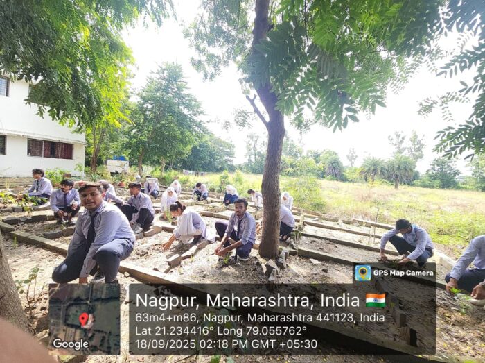 TREE PLANTATION (2) (1)